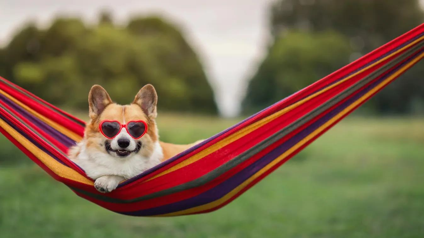 Forrni fog a levegő – brutális kánikula jön szerdától