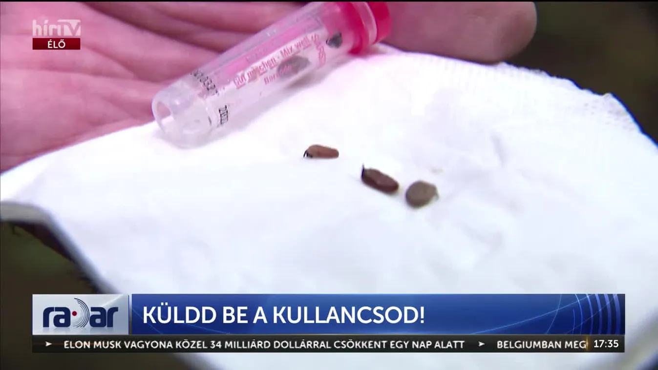 Radar - KÜLDD BE A KULLANCSOD!