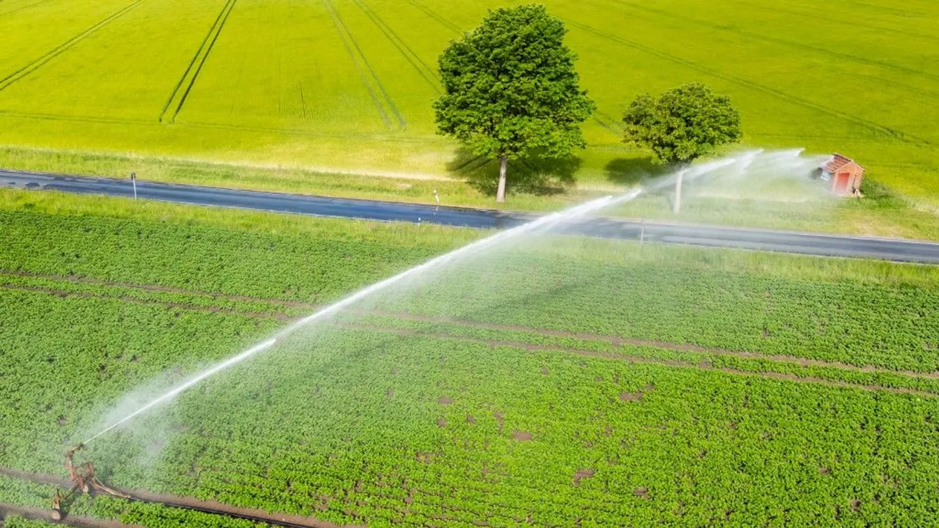 Milliárdokat osztanak ki az öntözésre