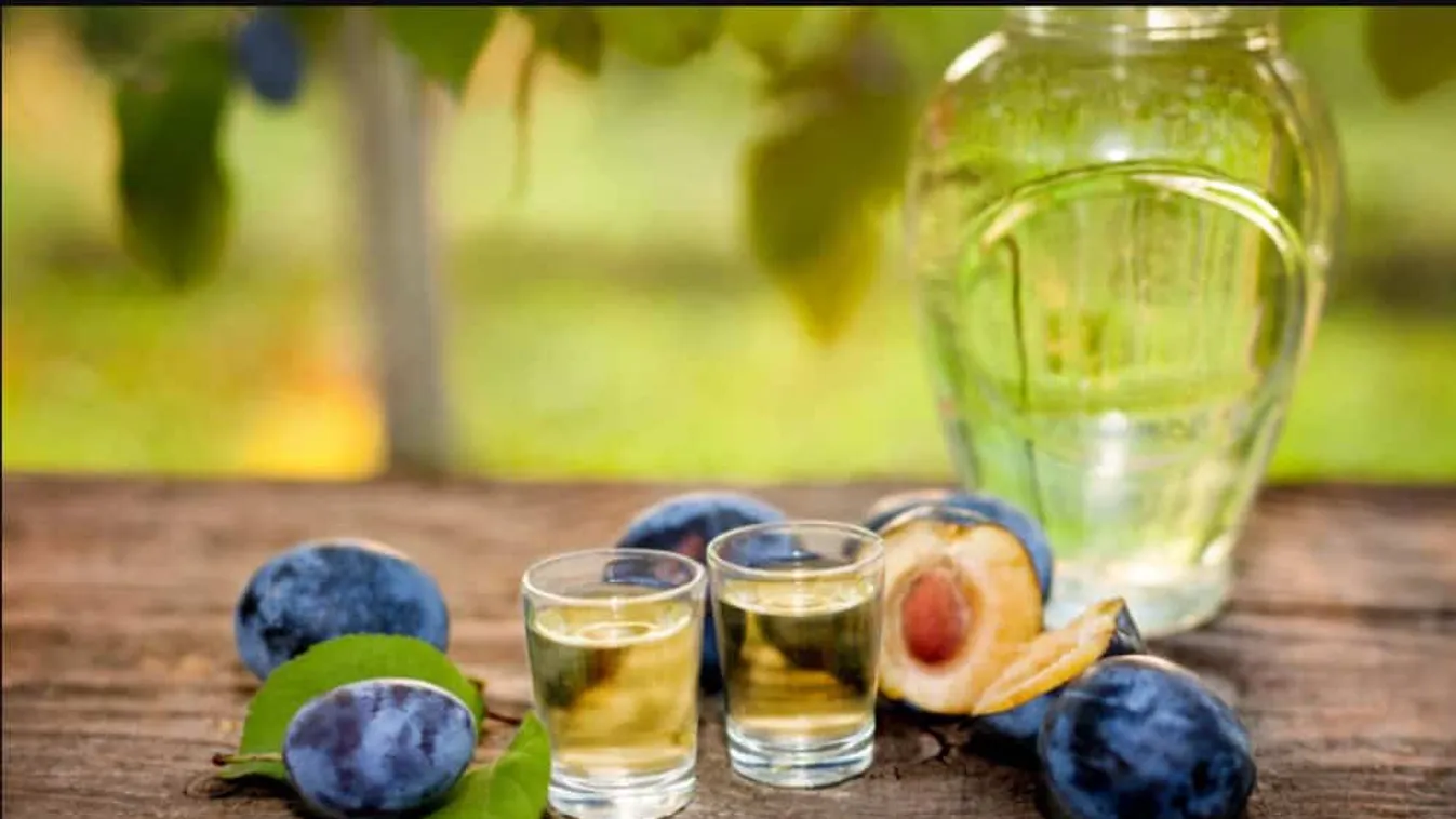 Átadták a Gyulai Pálinkafesztivál versenydíjait