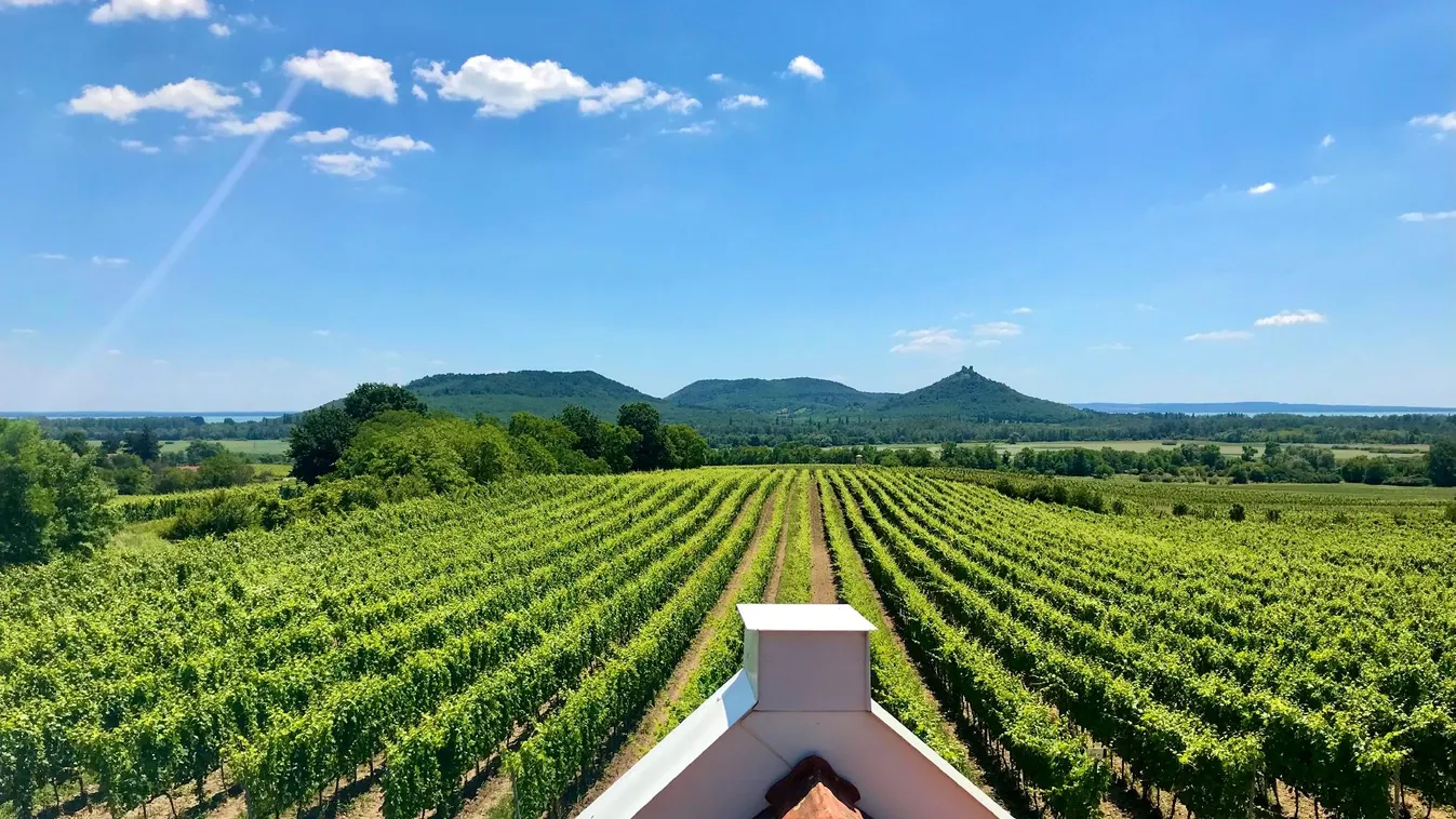 A legolcsóbb nyaralók a Tisza mellett, a legdrágábbak a Balatonnál vannak