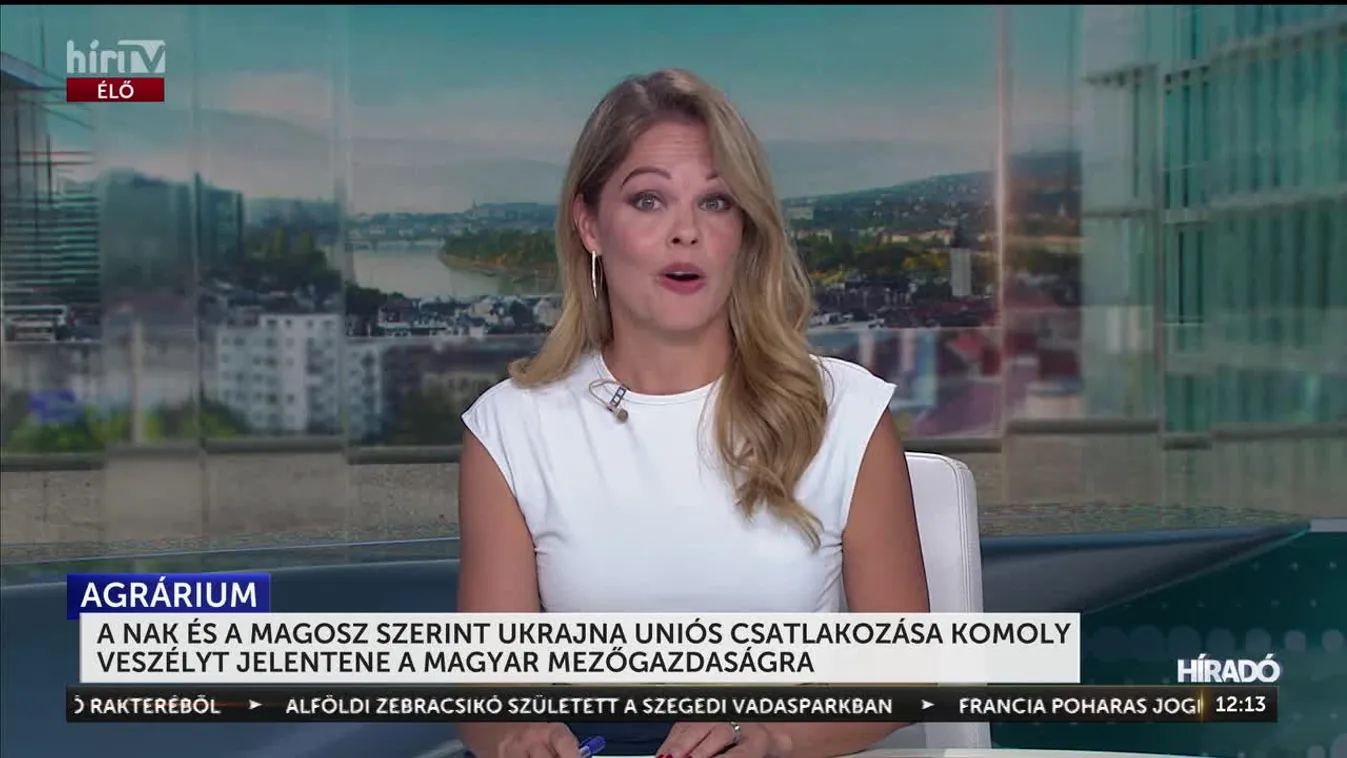 A NAK ÉS A MAGOSZ SZERINT UKRAJNA UNIÓS CSATLAKOZÁSA KOMOLY VESZÉLYT JELENTENE A MAGYAR MEZŐGAZDASÁGRA