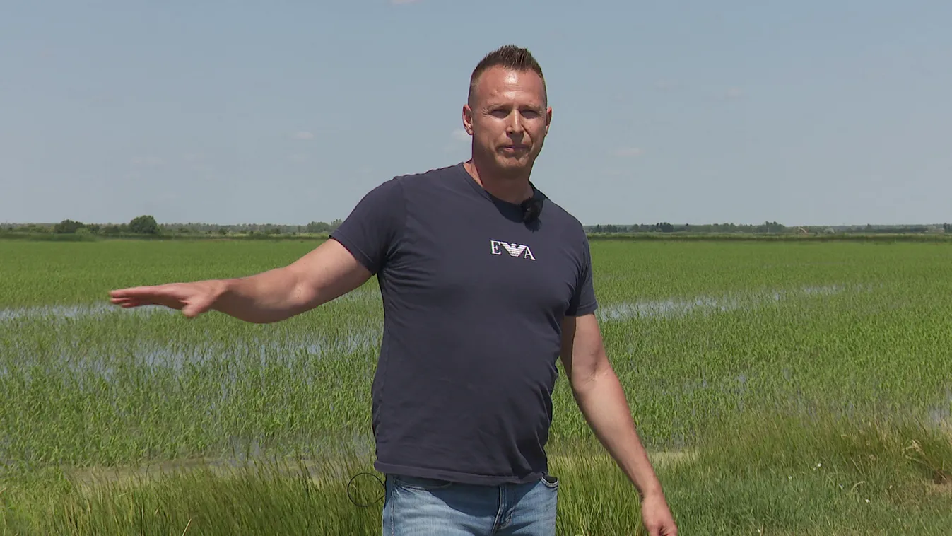 Radar - Rizstermesztés magyar földben - ökológiai szemlélet és innováció + videó