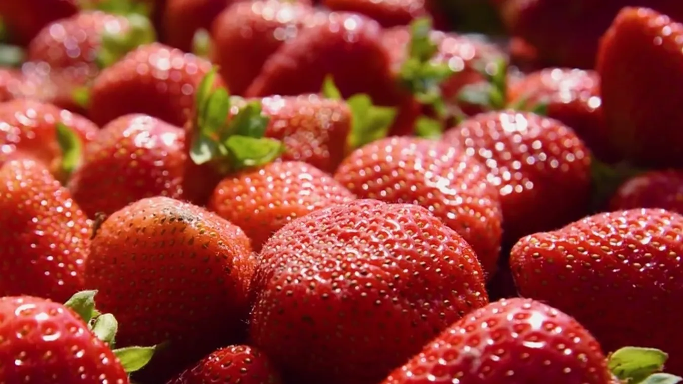 Radar - Vajszló az epermennyország  + videó