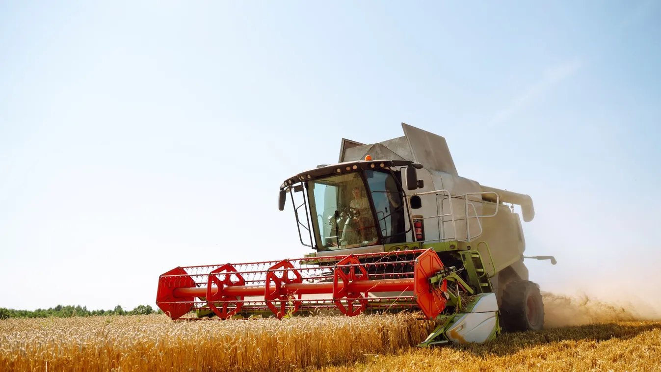 A Tisza Párt az ukrán gazdák érdekeit védi a magyar gazdákkal szemben