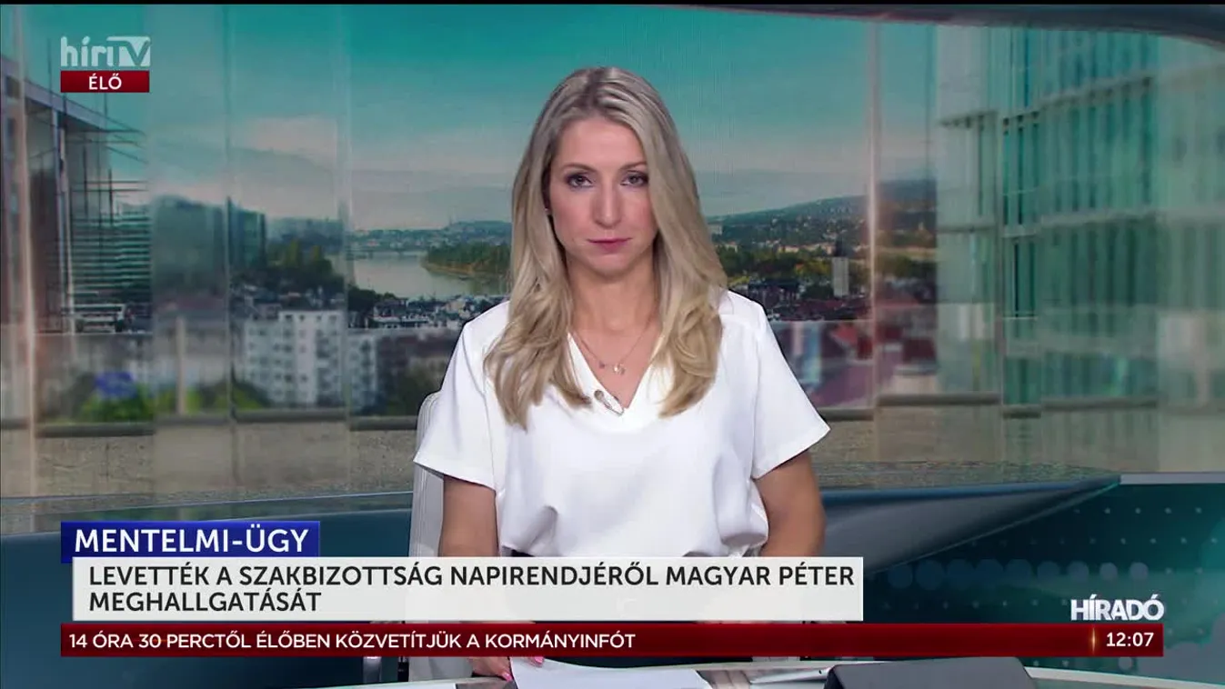 LEVETTÉK A SZAKBIZOTTSÁG NAPIRENDJÉRŐL MAGYAR PÉTER MEGHALLGATÁSÁT