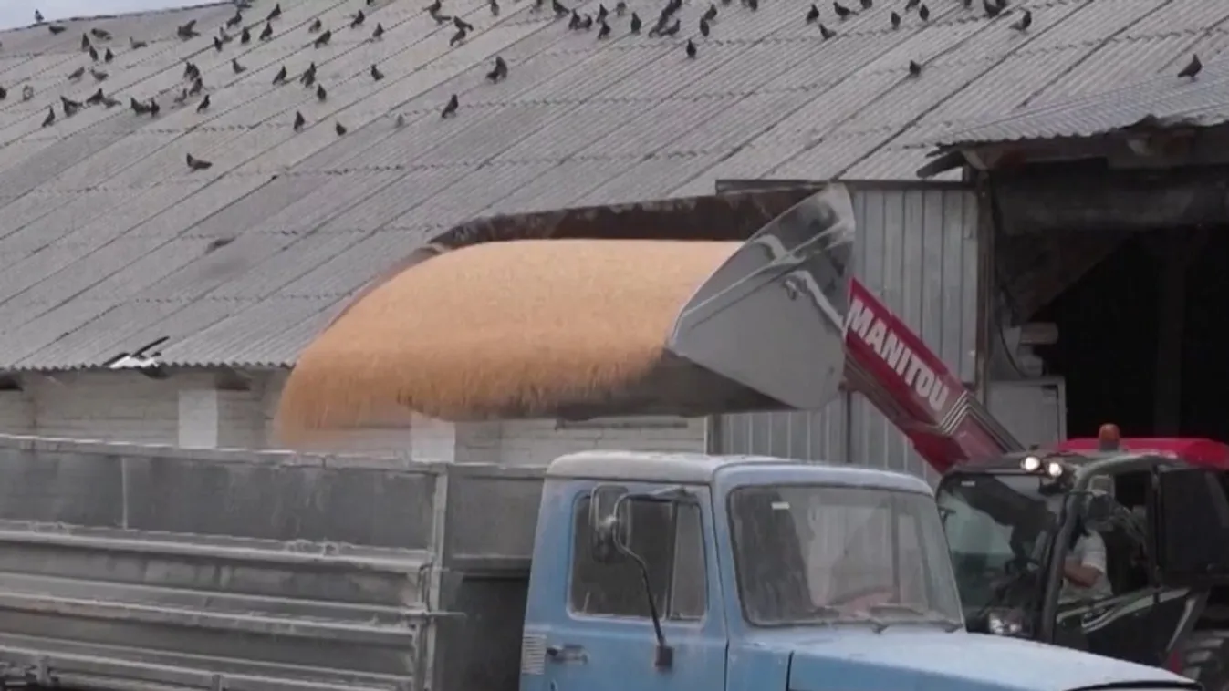 Radar – Nem sok jóra számíthatunk a GMO-s gabonától  + videó