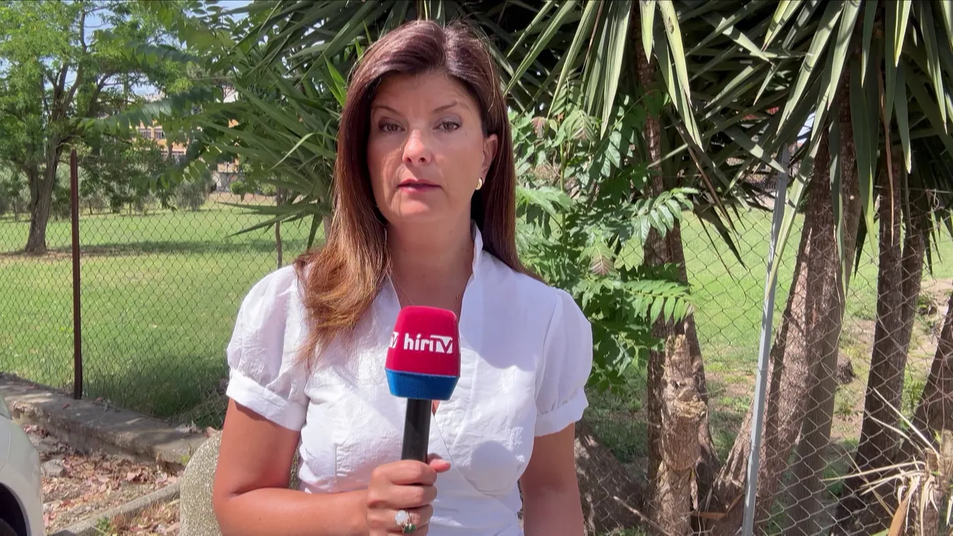 Palesztinpárti tüntetéseket szervez az olasz baloldal + videó