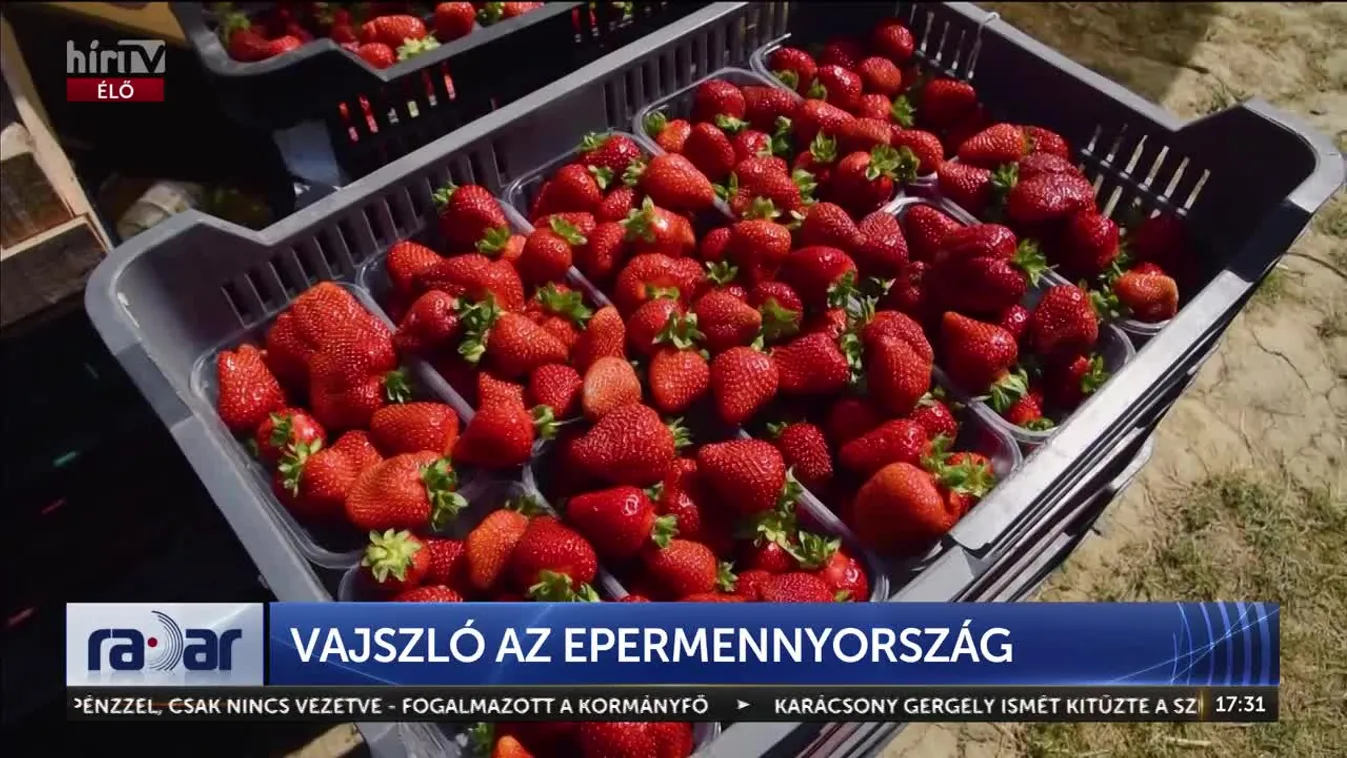 Radar - VAJSZLÓ AZ EPERMENNYORSZÁG