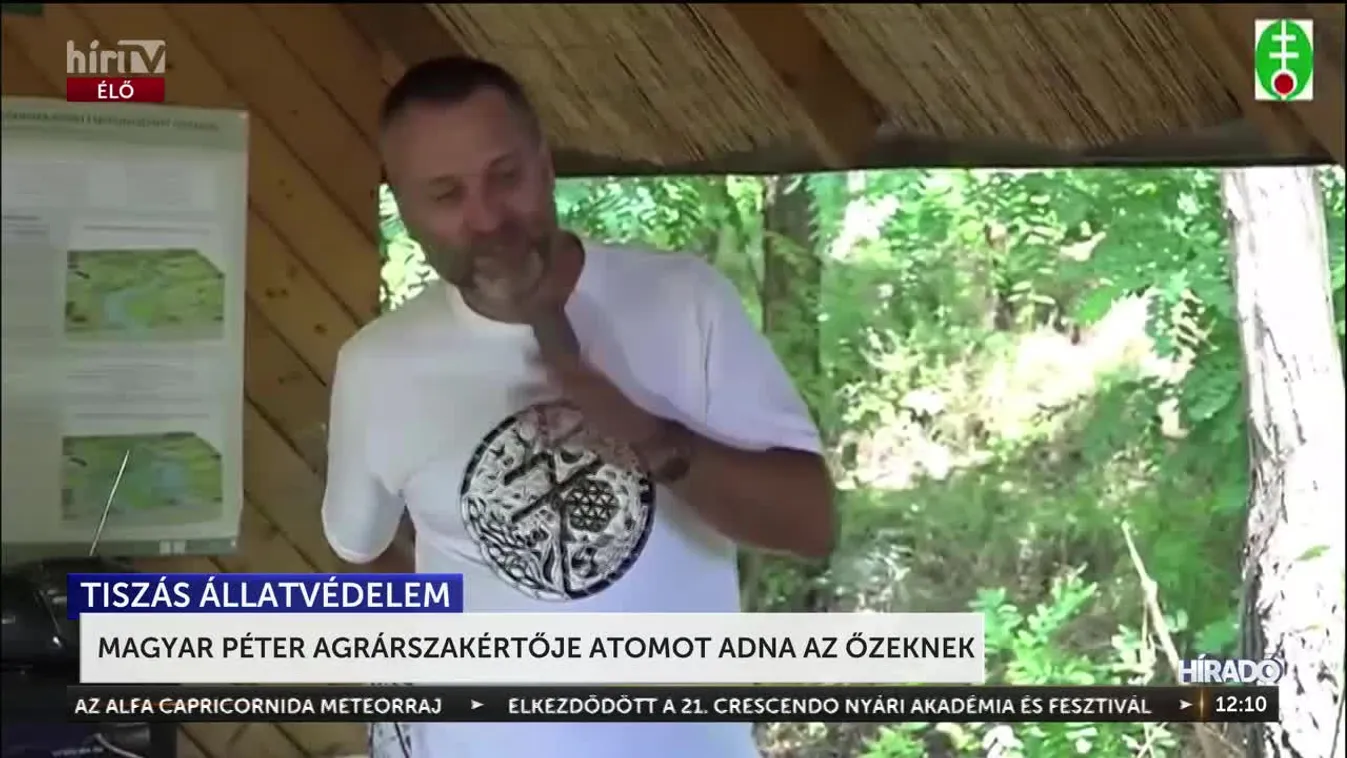 Magyar Péter agrárszakértője nem bánná, ha százezrével telepednének le a migránsok