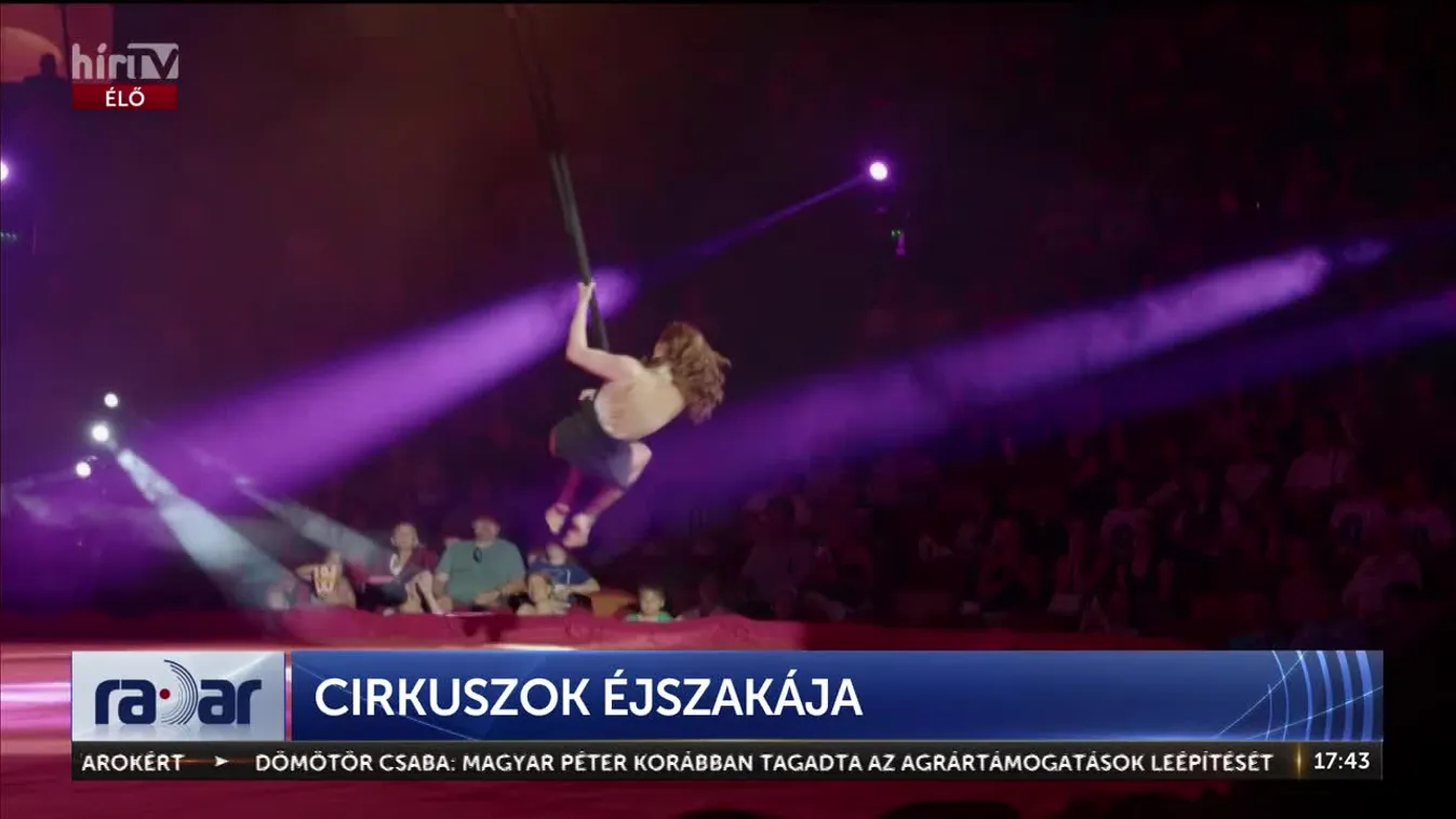 Radar – Cirkuszok éjszakája