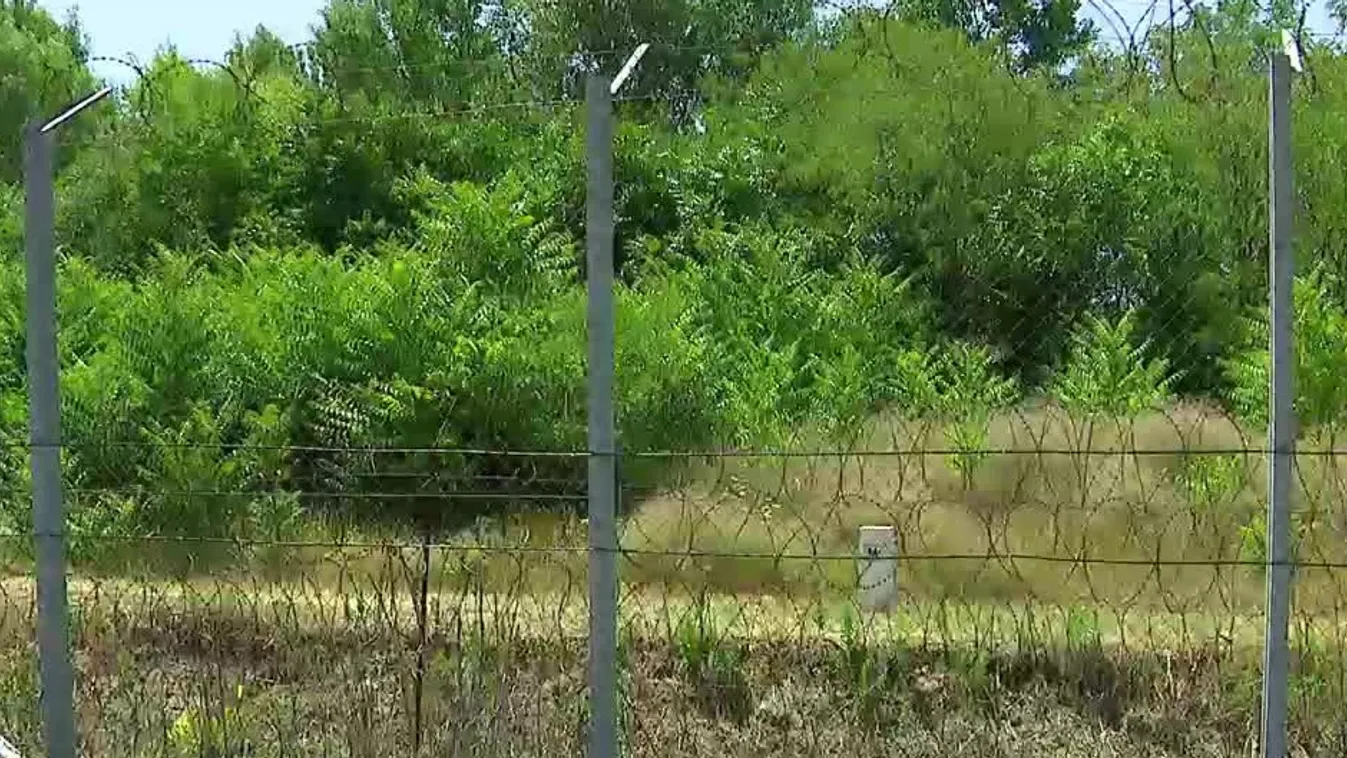 Új trükkel próbálkoznak az embercsempészek a magyar határnál + videó