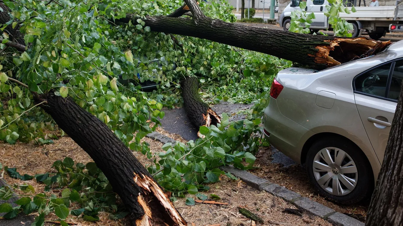 A katonák is segítenek a viharkárok felszámolásában + videó