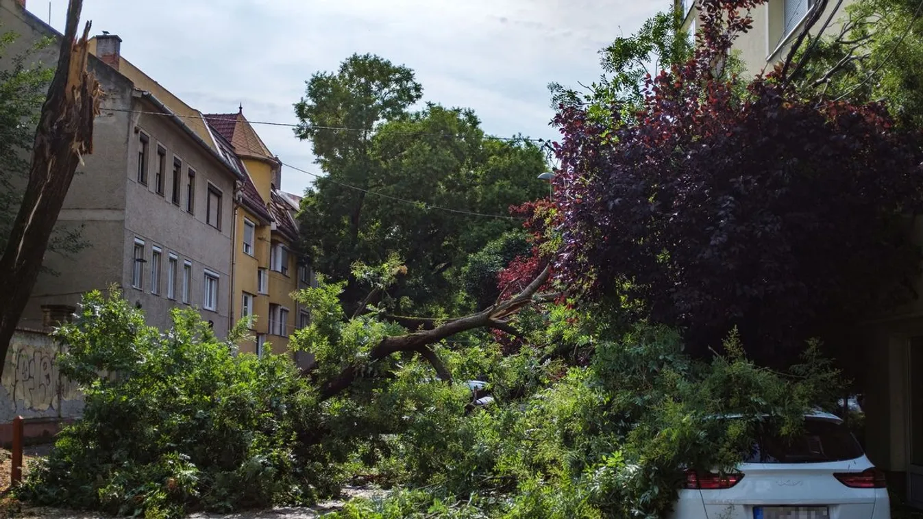 Nem meglepő: a vihar után meredeken ívelt fel az ingatlan- és gépjárműbiztosítások megkötéseinek száma