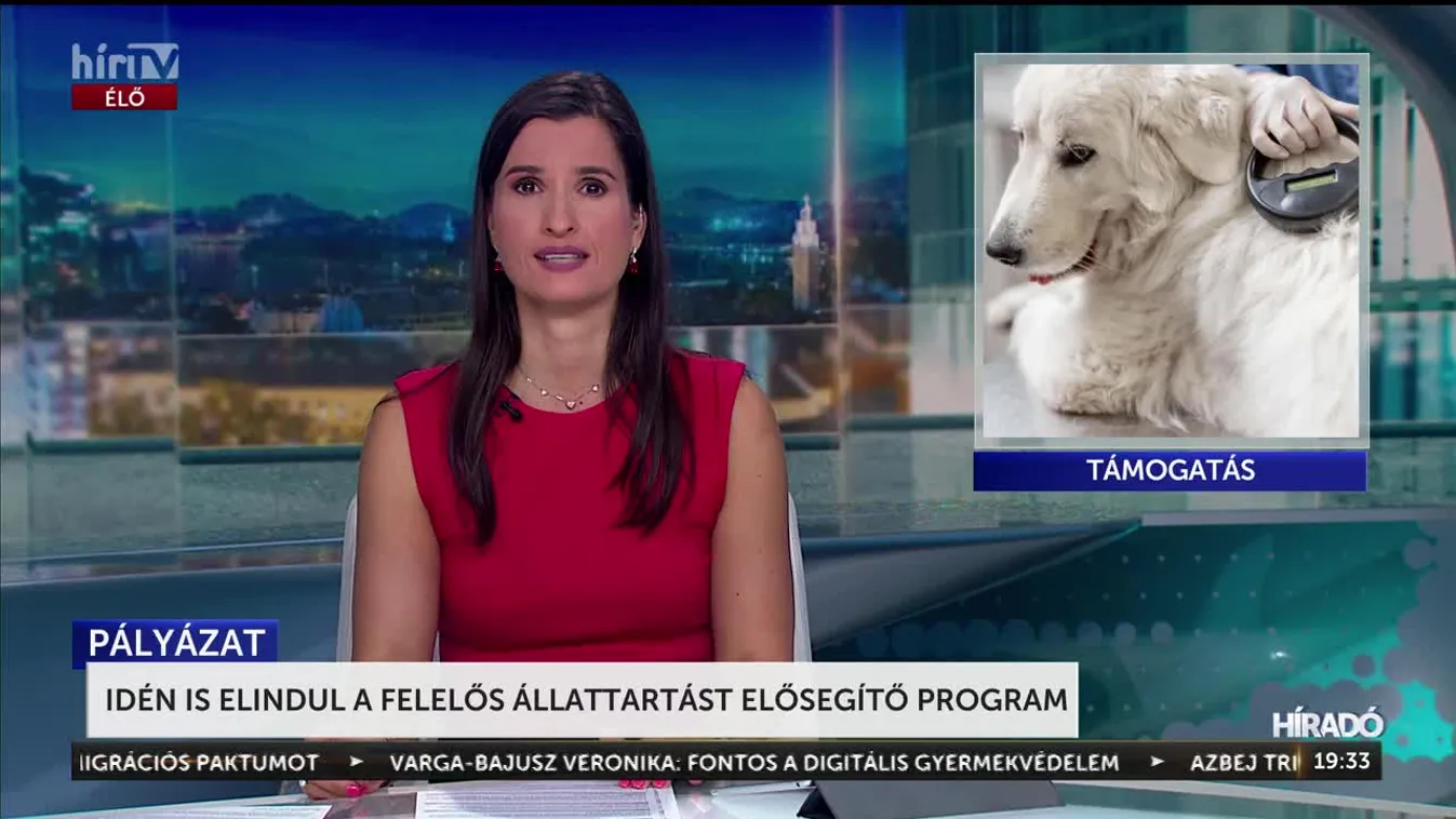 Idén is elindul a felelős állattartást segítő pályázat