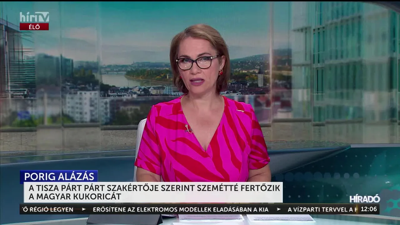 A Tisza Párt szakértője szerint szemétté fertőzik a magyar kukoricát