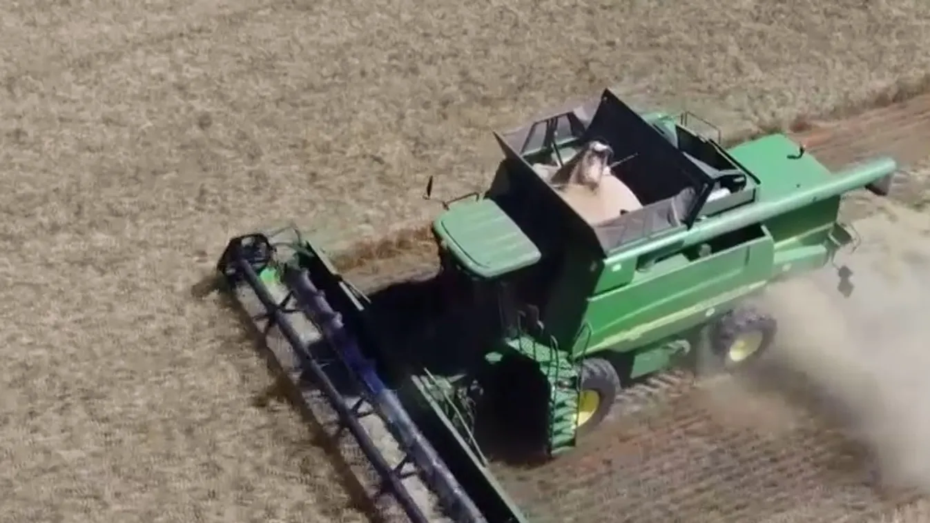 Az Európai Bizottságnak nincs elképzelése az európai mezőgazdaság jövőjéről  + videó