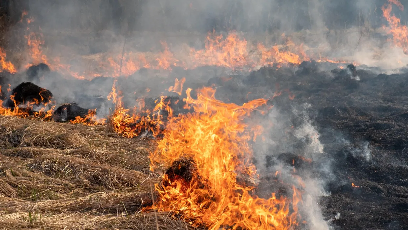 Országszerte kőkemény munkában vannak a tűzoltók