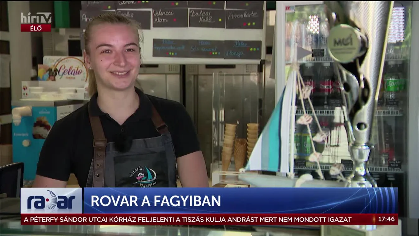 Radar – Rovar a fagyiban