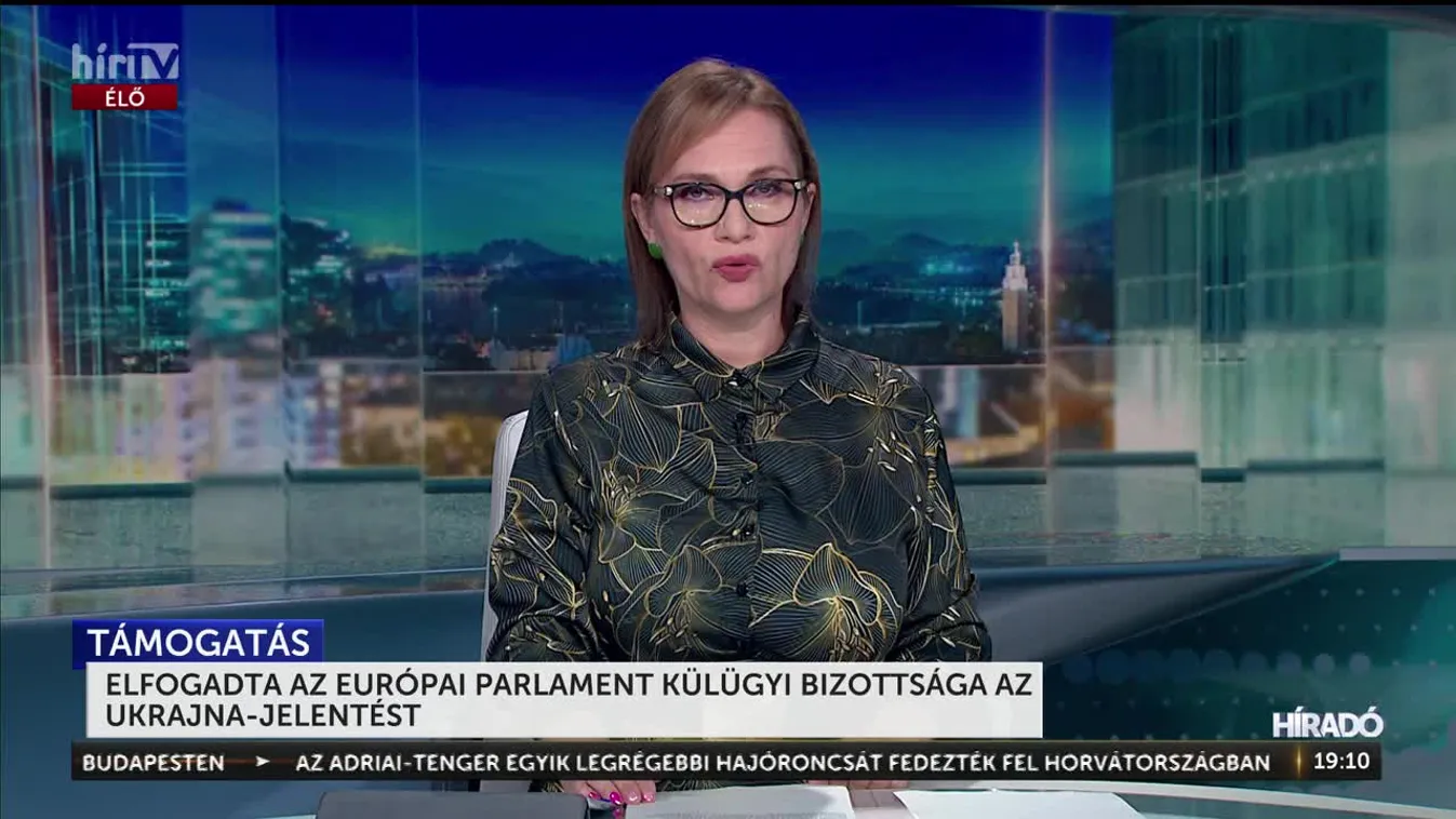 ELFOGADTA AZ EURÓPAI PARLAMENT KÜLÜGYI BIZOTTSÁGA AZ UKRAJNA-JELENTÉST