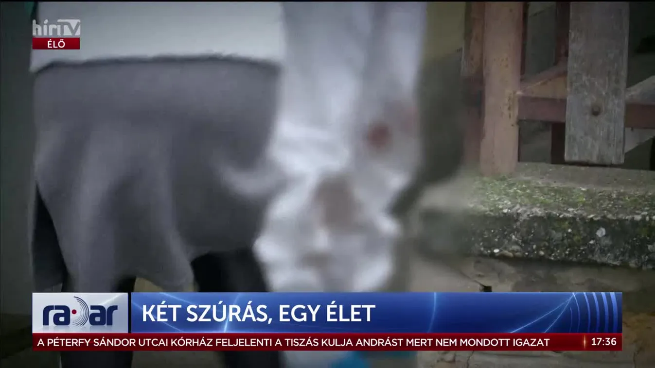 Radar – Két szúrás, egy élet