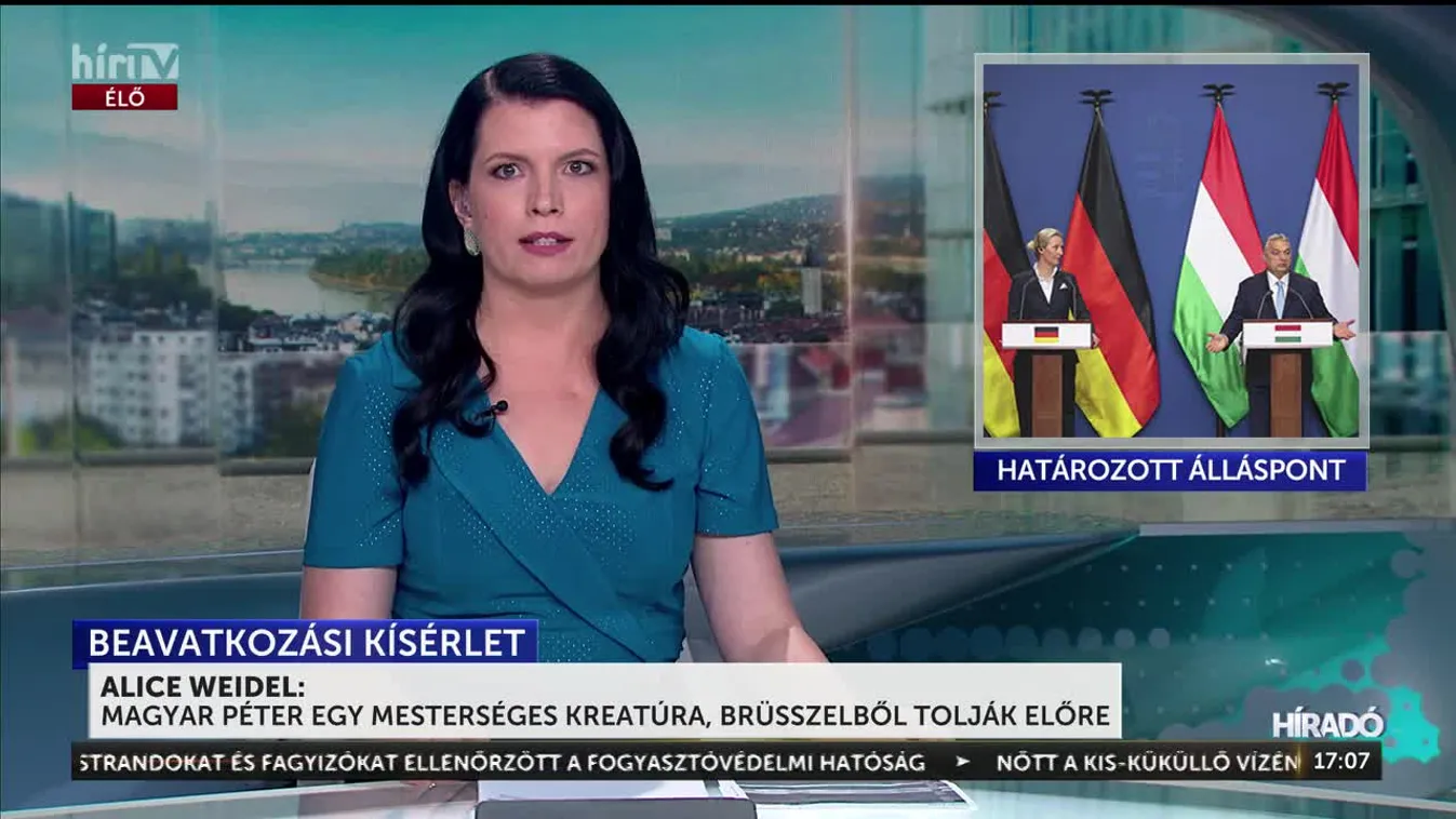 Alice Weidel: Magyar Péter egy mesterséges kreatúra, Brüsszelből tolják előre