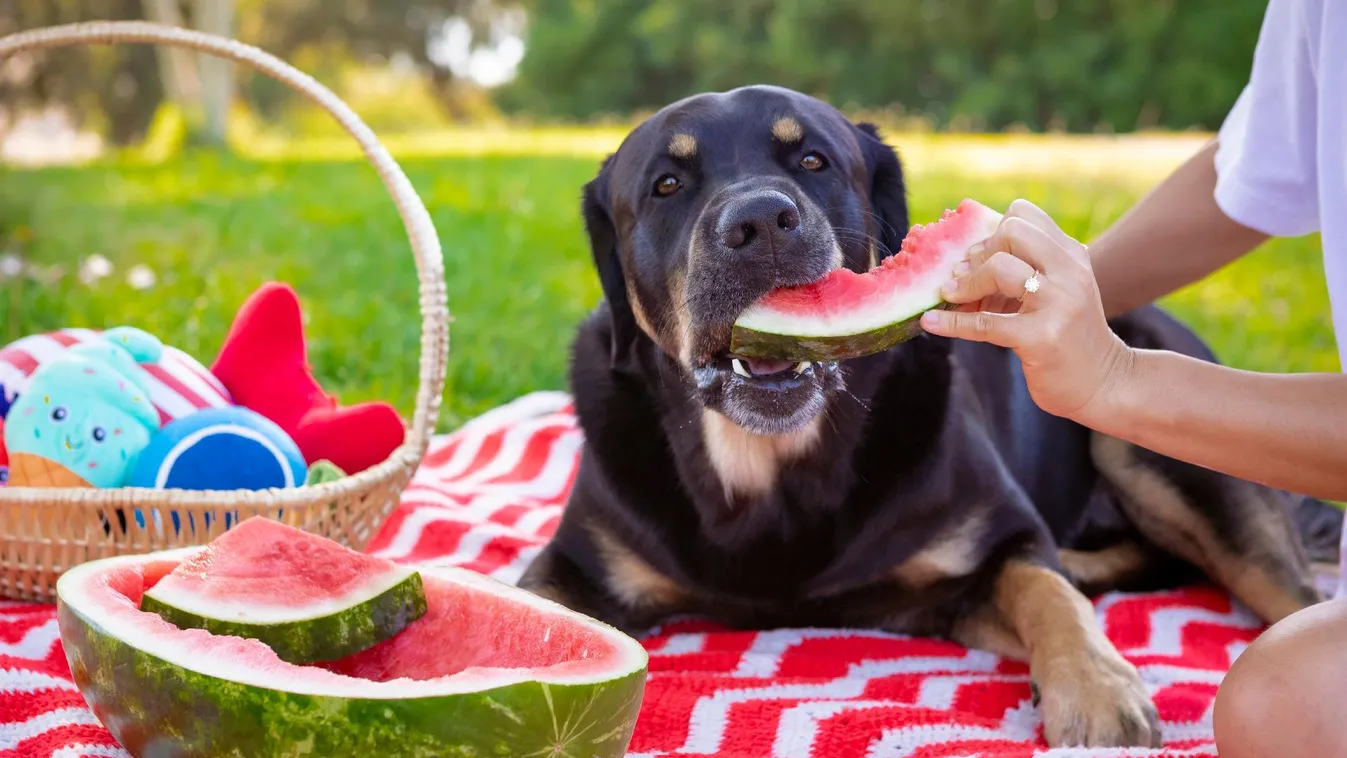 Tikkasztó hőség csap le az országra