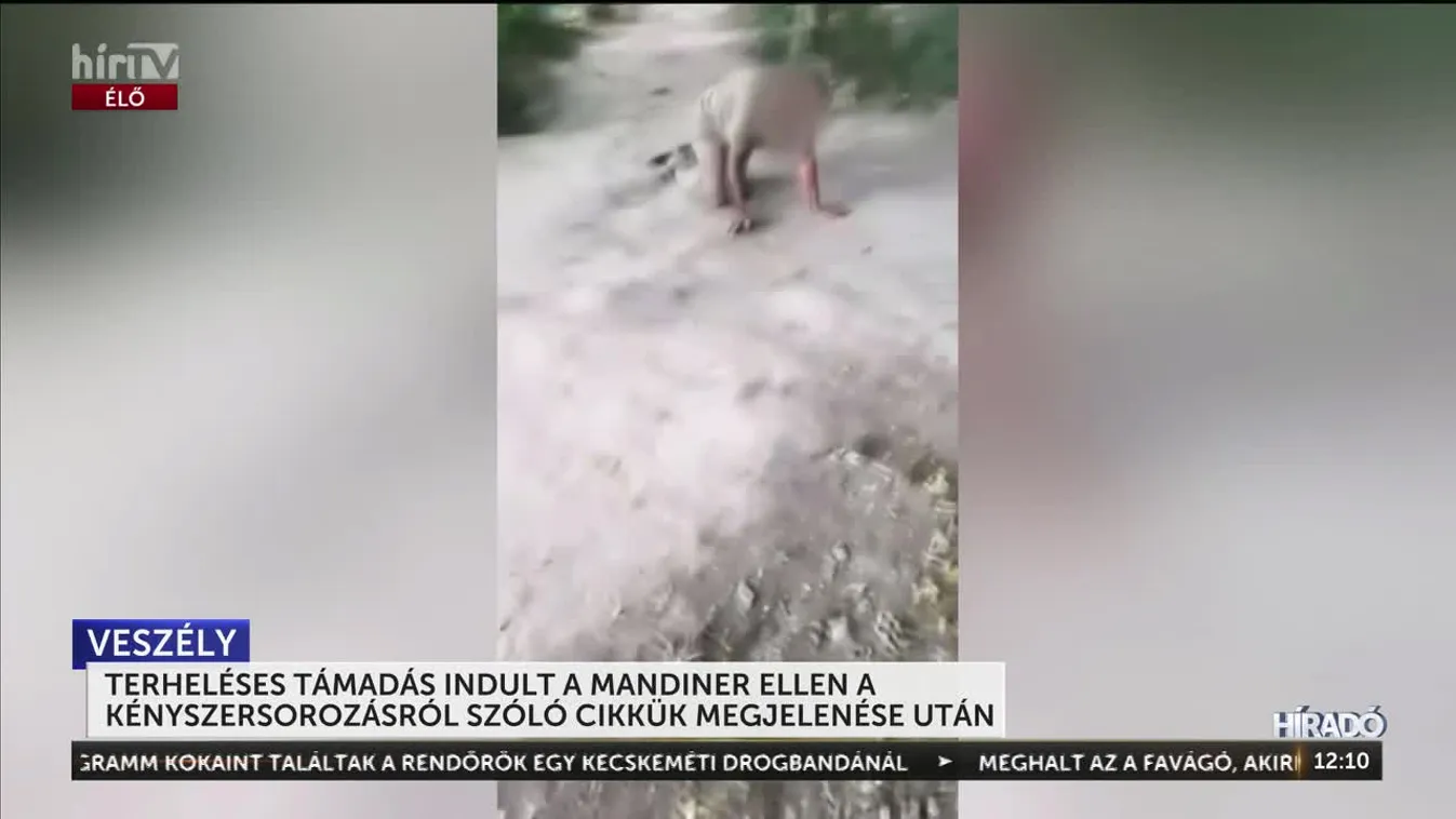 TERHELÉSES TÁMADÁS INDULT A MANDINER ELLEN A KÉNYSZERSOROZÁSRÓL SZÓLÓ CIKKÜK MEGJELENÉSE UTÁN