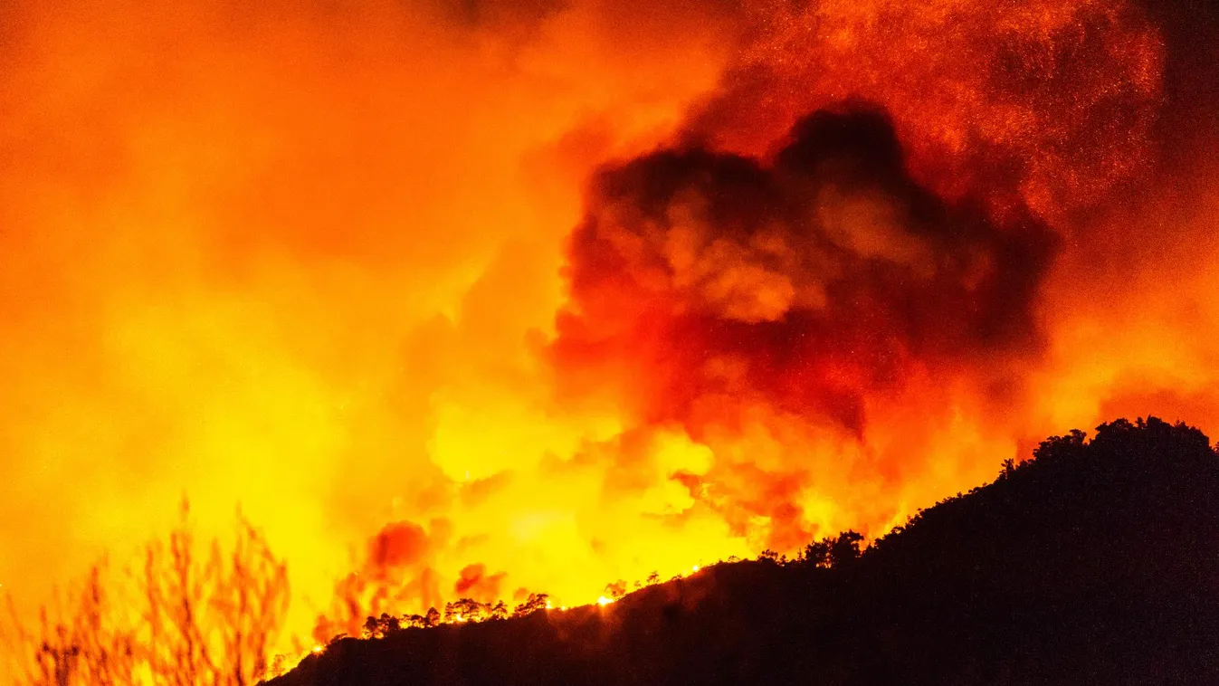 Hősként halt meg tíz erdész egy brutális tűzben