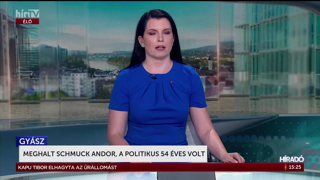 MEGHALT SCHMUCK ANDOR, A POLITIKUS 54 ÉVES VOLT