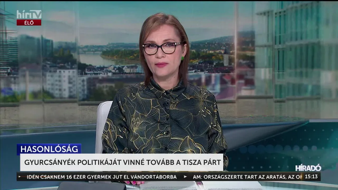 GYURCSÁNYÉK POLITIKÁJÁT VINNÉ TOVÁBB A TISZA PÁRT