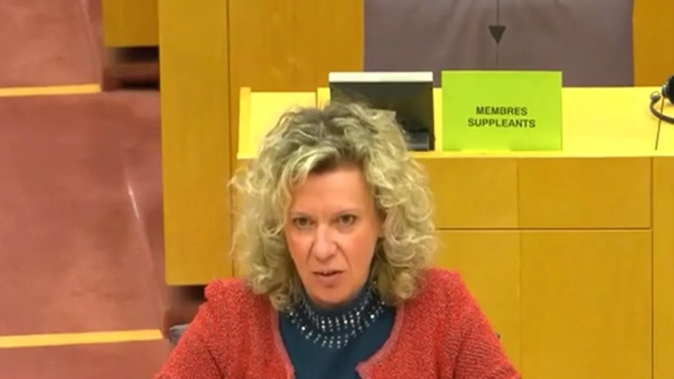 Kollár Kinga  nem pontos vagyonnyilatkozatot adott le, a képviselő módosítani fogja a bevallását  + videó