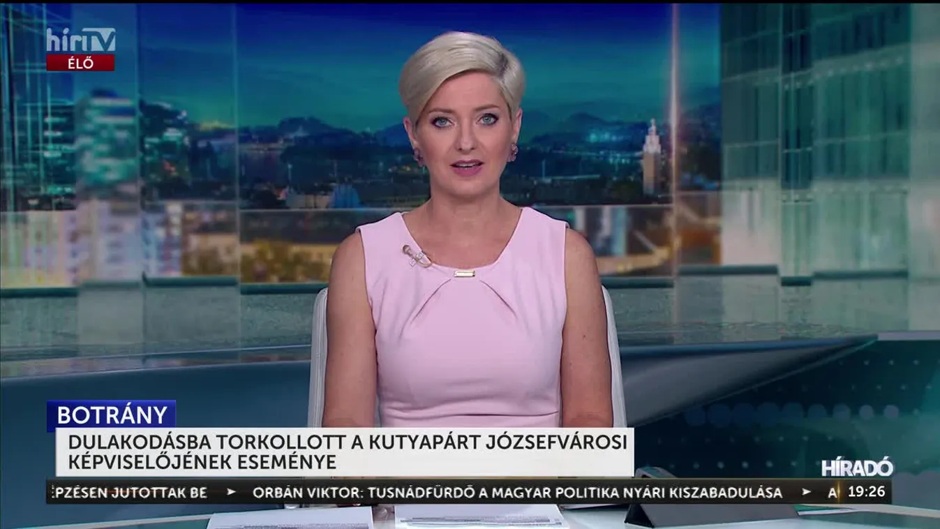 DULAKODÁSBA TORKOLLOTT A KUTYAPÁRT JÓZSEFVÁROSI KÉPVISELŐJÉNEK ESEMÉNYE