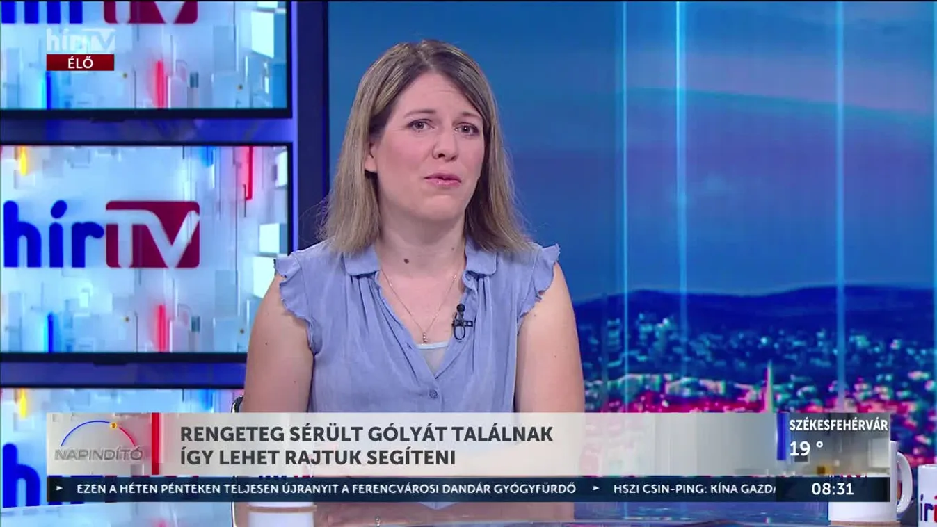 RENGETEG SÉRÜLT GÓLYÁT TALÁLNAK ÍGY LEHET RAJTUK SEGÍTENI