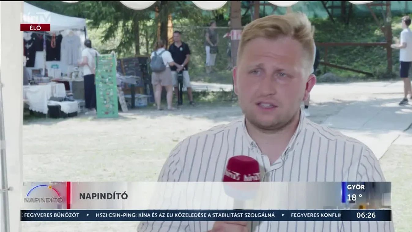 Tusványos – Mohácsi István: Majkának nagyobb felelősséggel kellene viselkednie