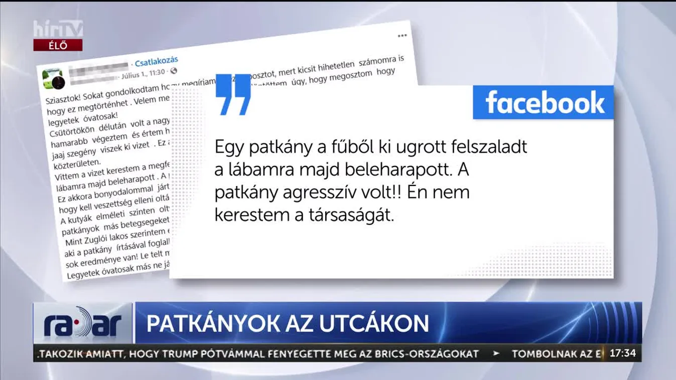 	Radar - Patkányok az utcákon