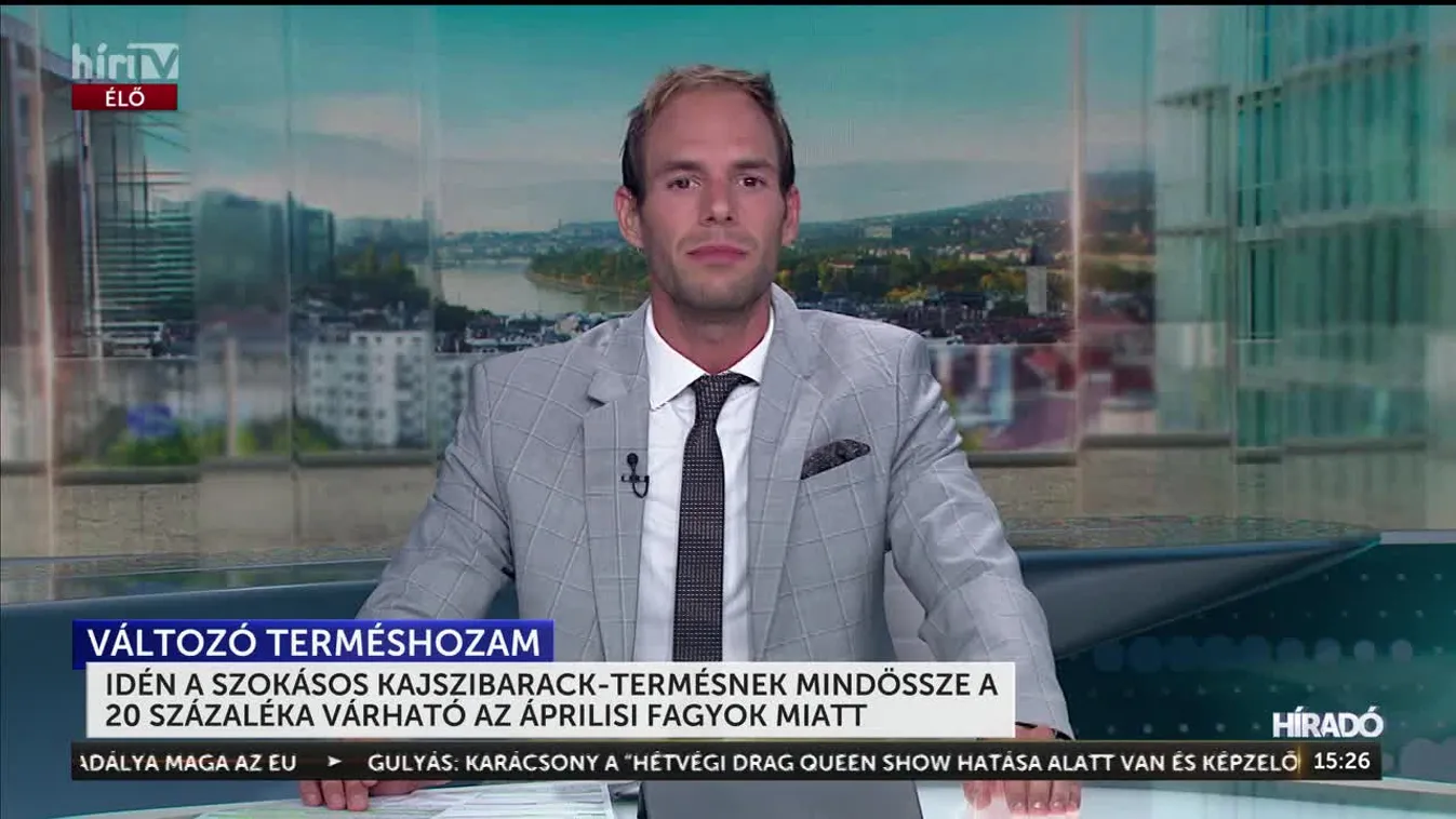 IDÉN A SZOKÁSOS KAJSZIBARACK-TERMÉSNEK MINDÖSSZE A 20 SZÁZALÉKA VÁRHATÓ AZ ÁPRILISI FAGYOK MIATT