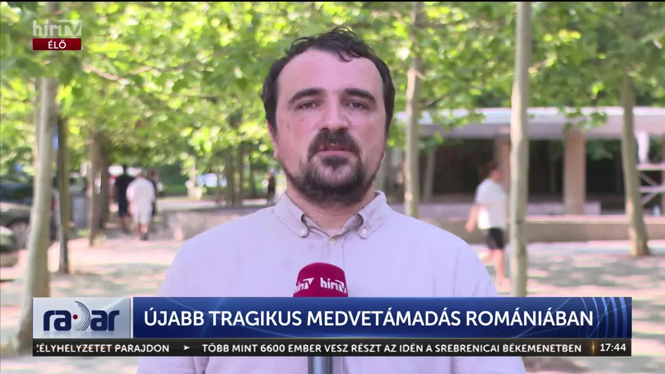 Radar – Újabb tragikus medvetámadás Romániában