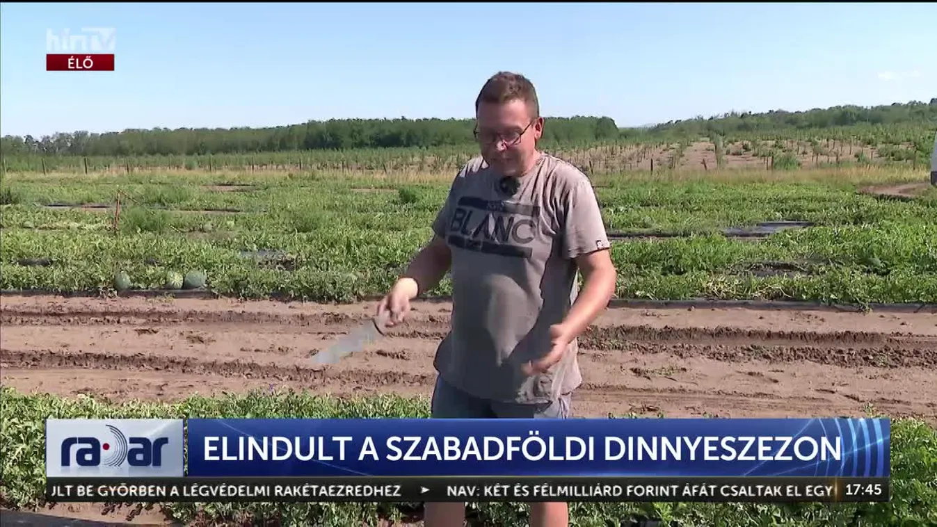 Elindult a szabadföldi dinnyeszezon