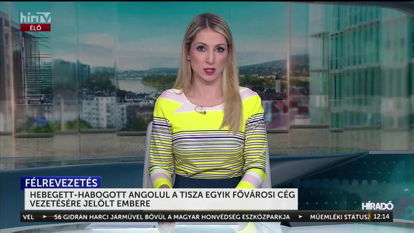 HEBEGETT-HABOGOTT ANGOLUL A TISZA EGYIK FŐVÁROSI CÉG VEZETÉSÉRE JELÖLT EMBERE
