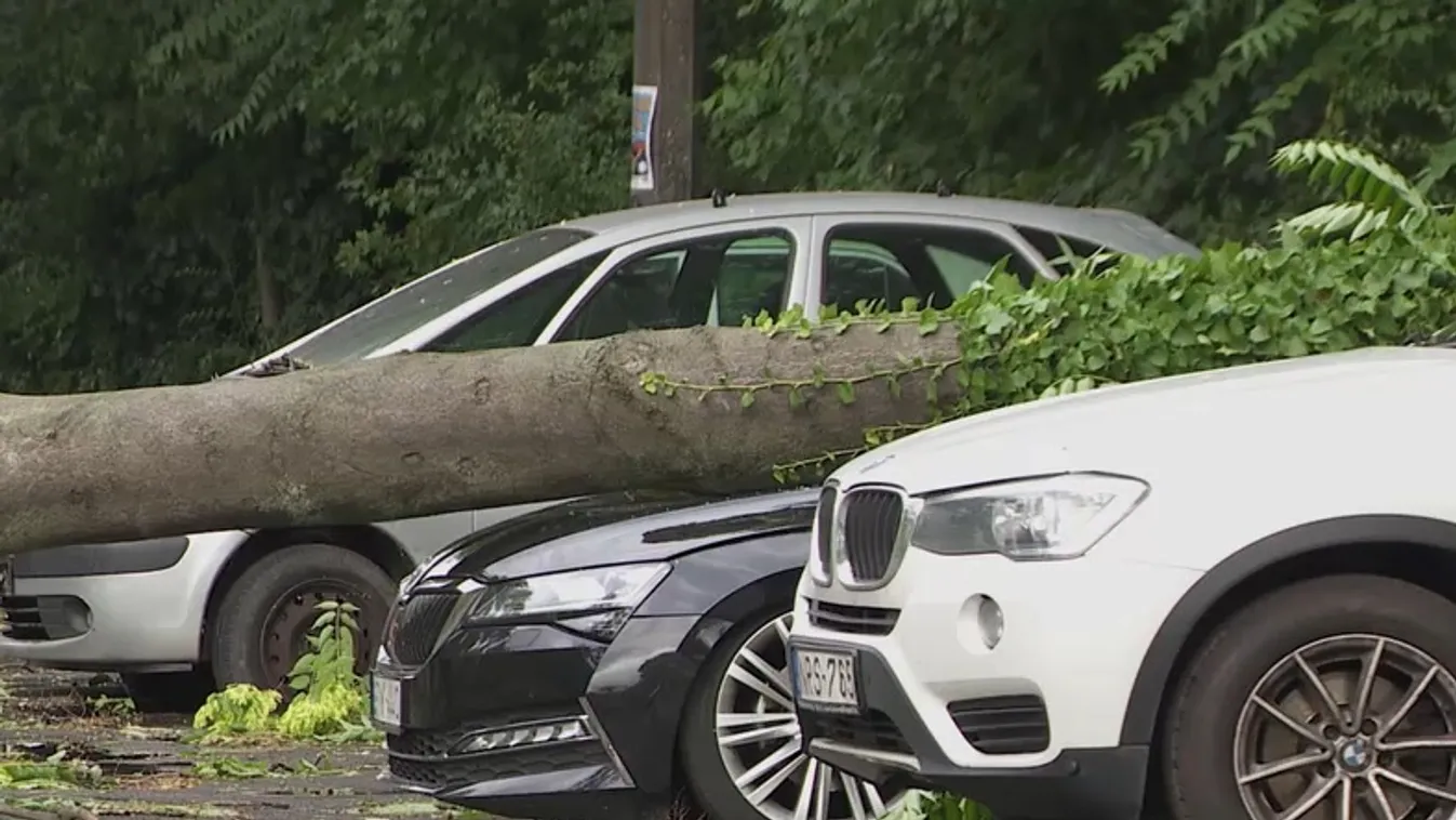 Radar – Letarolt házak, kidőlt fák – mit térít meg a biztosítás?  + videó