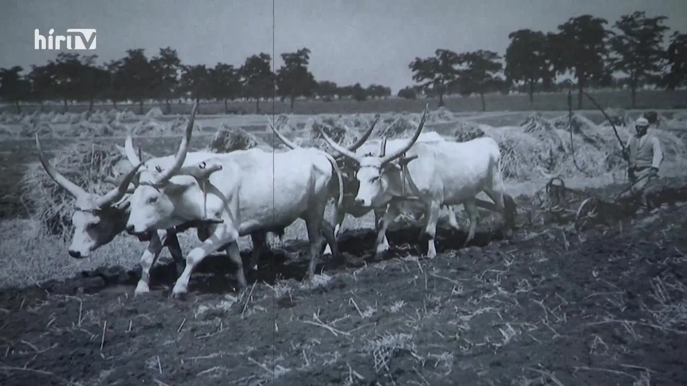Riasztás – Az Állampusztai Országos Büntetés-végrehajtási Intézet egy különleges hely