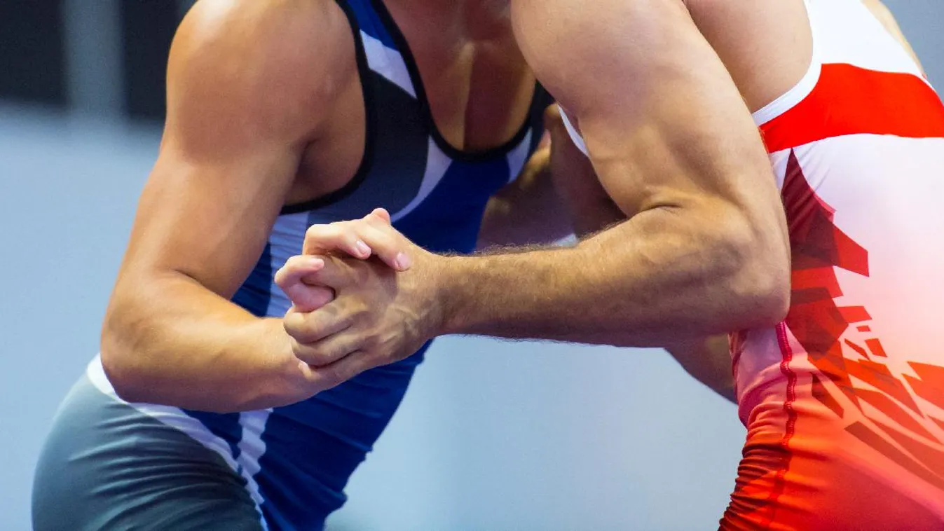 A magyar válogatott kiválóan szerepelt az olaszországi kontinensviadalon