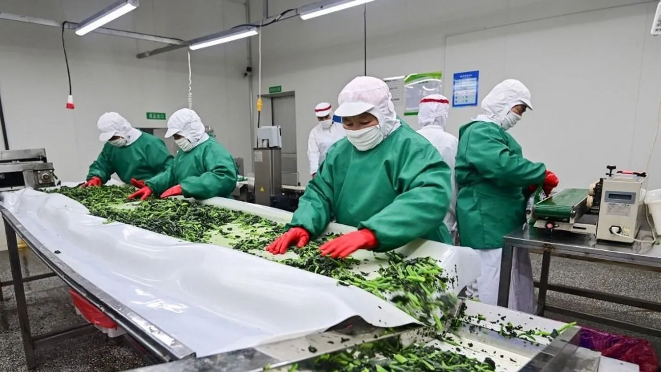 Többet dobunk ki, mint amennyit behozunk