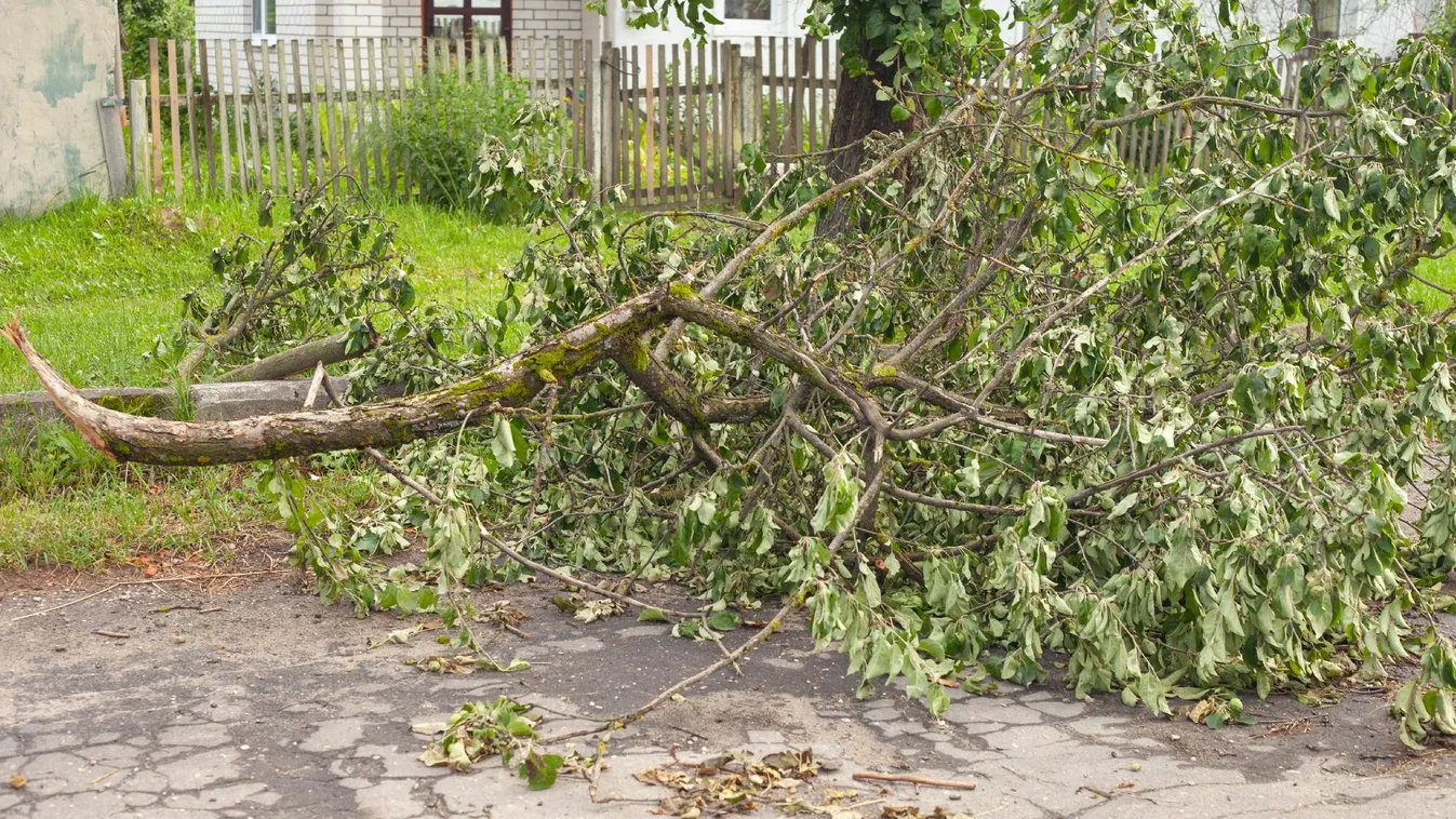 Tarolt a vihar a határon túli területeken