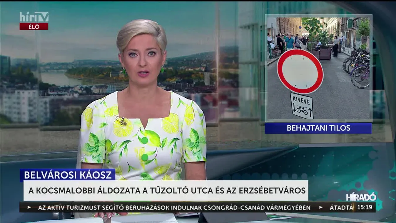 A KOCSMALOBBI ÁLDOZATA A TŰZOLTÓ UTCA ÉS AZ ERZSÉBETVÁROS