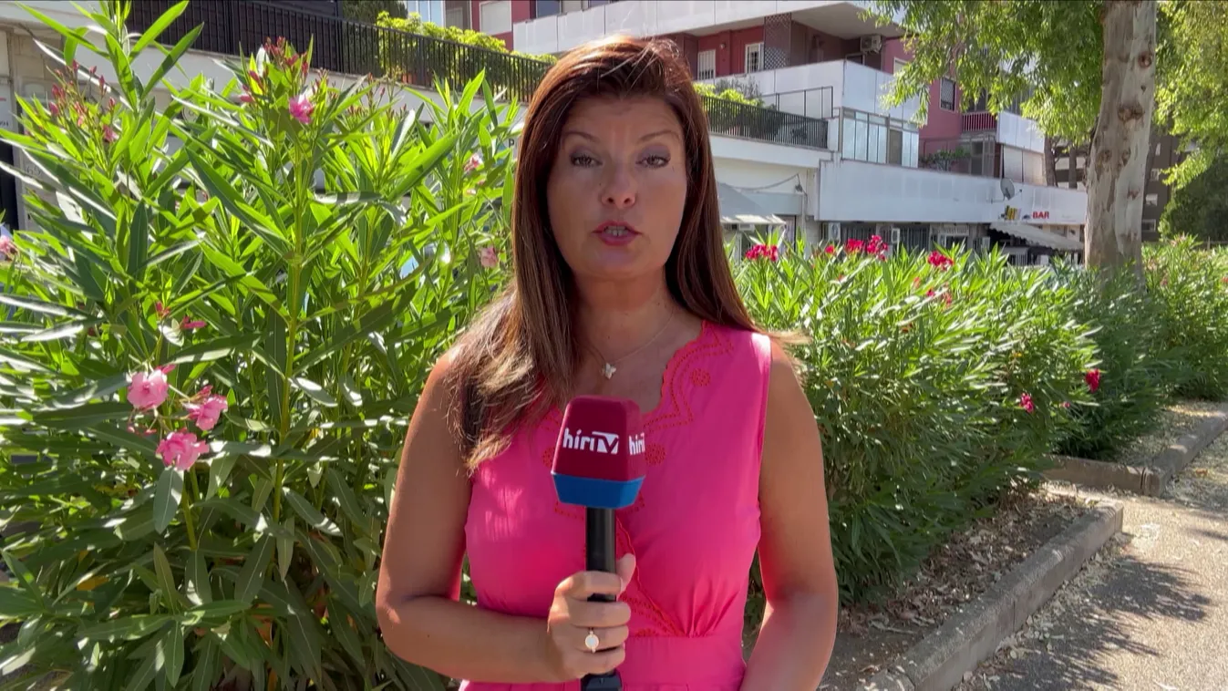 Egyre élesedik a feszültség a muzulmánok, a keresztények és a jobboldali politika között Olaszországban + videó