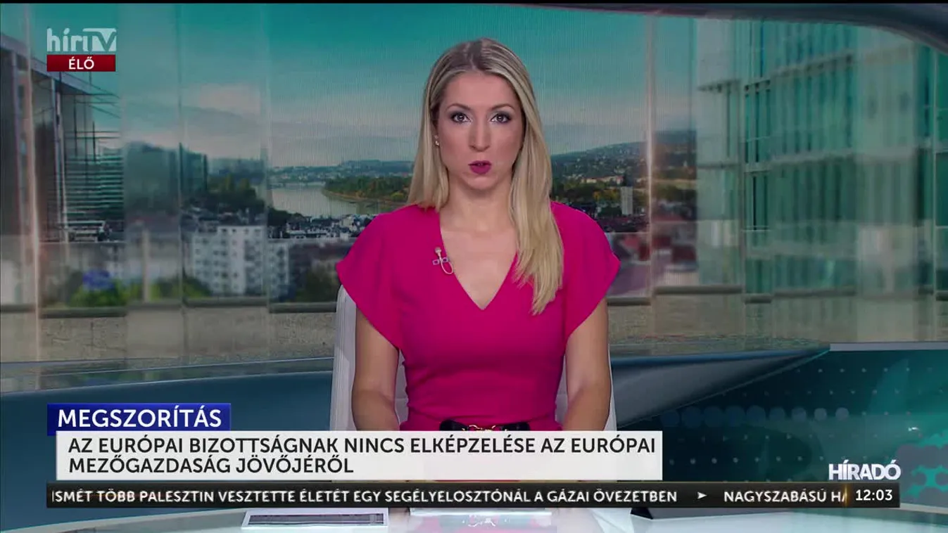 AZ EURÓPAI BIZOTTSÁGNAK NINCS ELKÉPZELÉSE AZ EURÓPAI MEZŐGAZDASÁG JÖVŐJÉRŐL