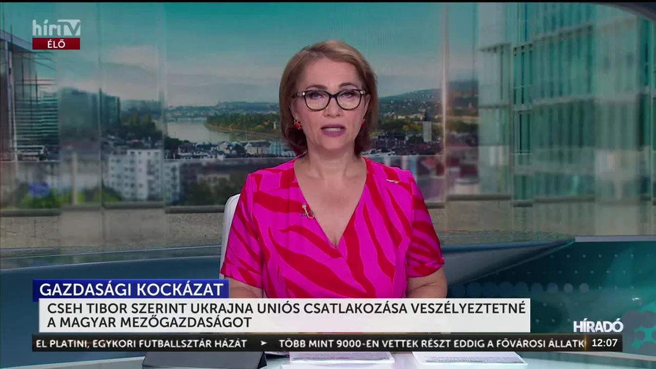 Cseh Tibor szerint Ukrajna uniós csatlakozása veszélyeztetné a magyar mezőgazdaságot