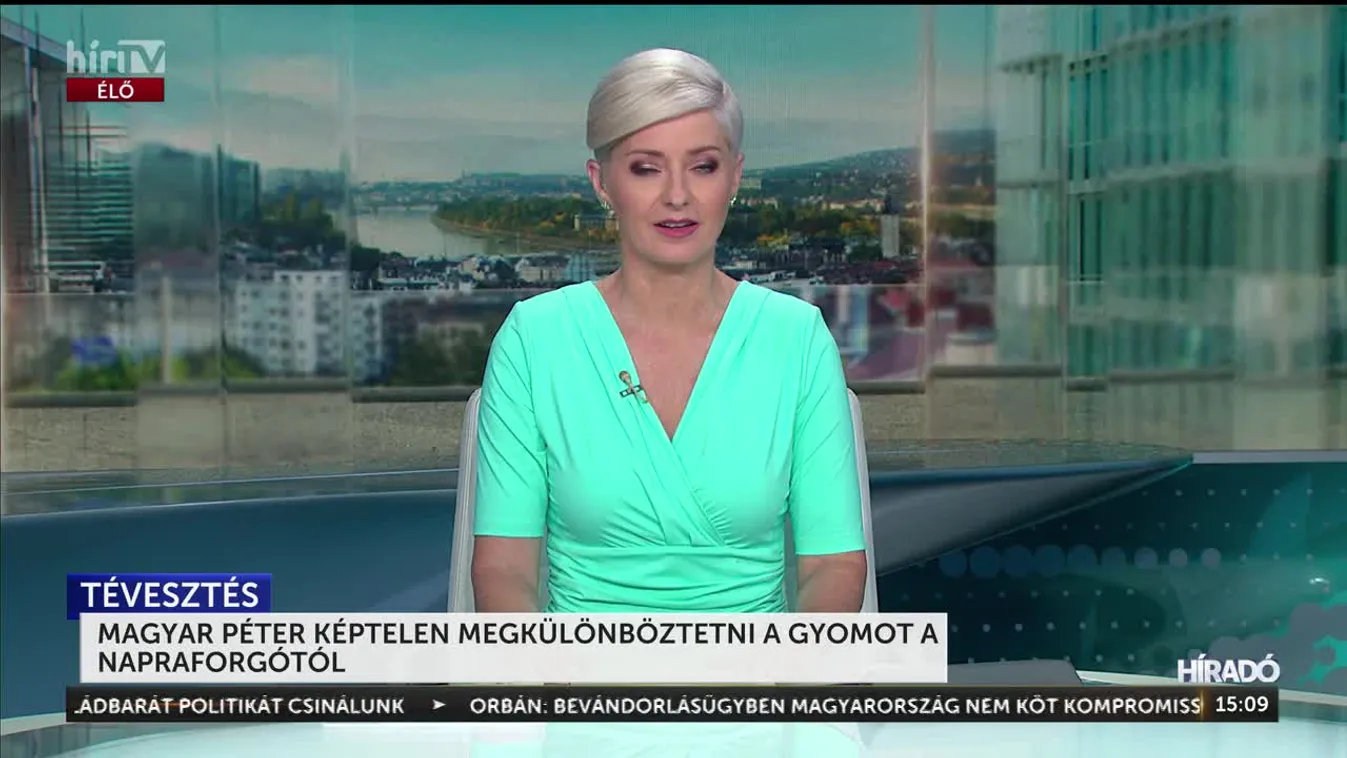 MAGYAR PÉTER KÉPTELEN MEGKÜLÖNBÖZTETNI A GYOMOT A NAPRAFORGÓTÓL